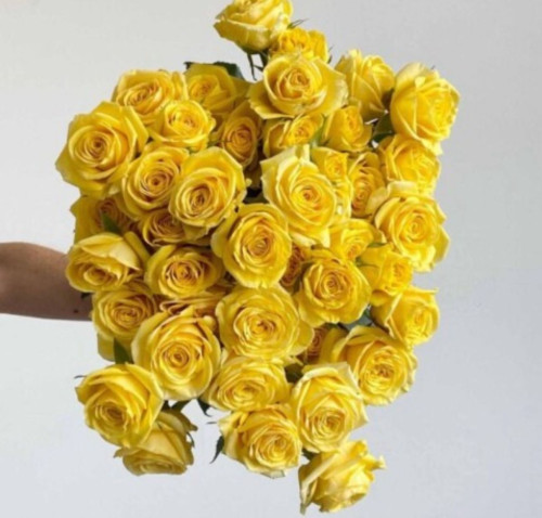 Golden Blossoms