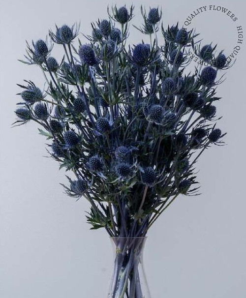 Blue Dynamite
